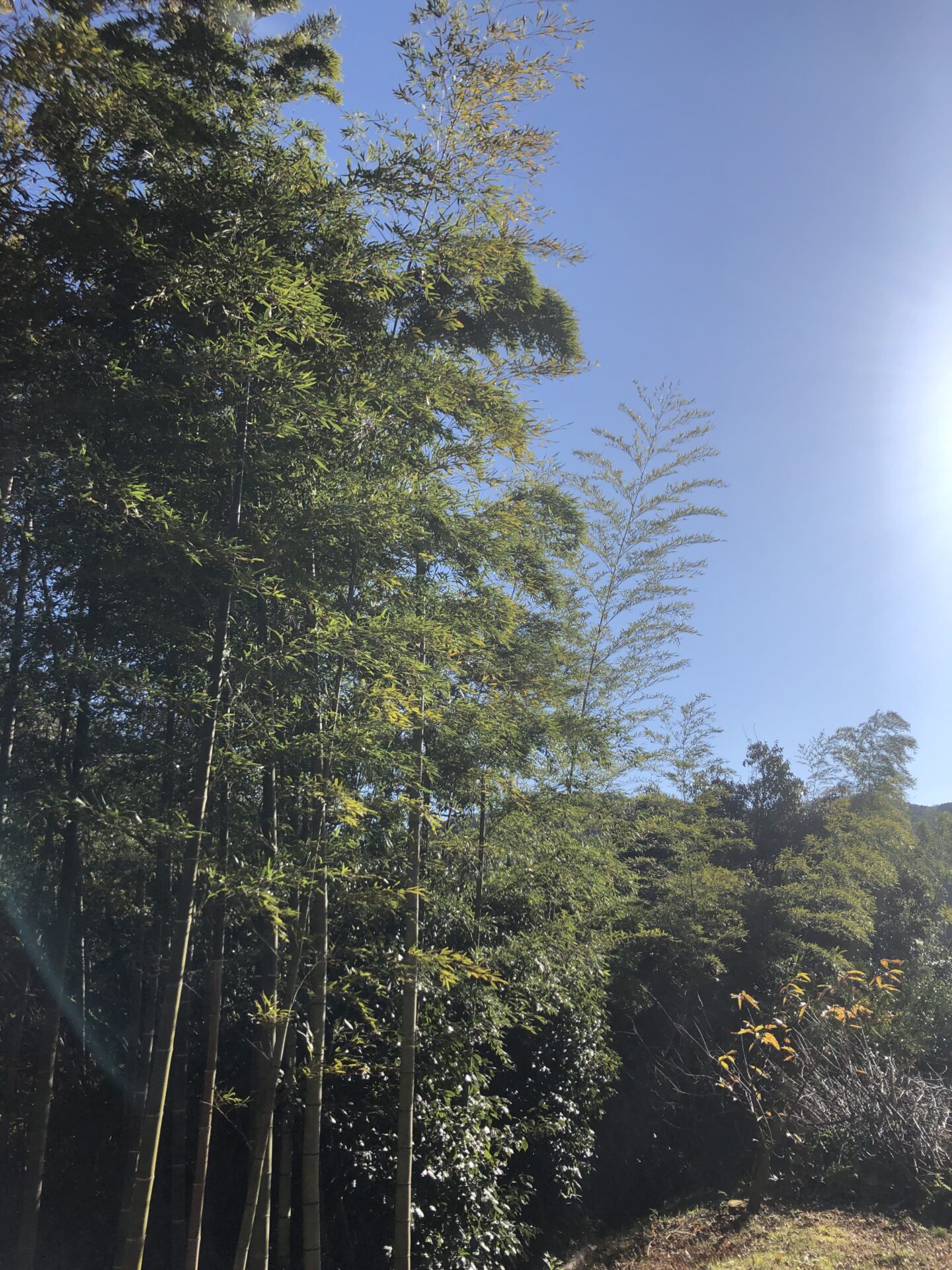 都会の喧騒を離れた別邸
