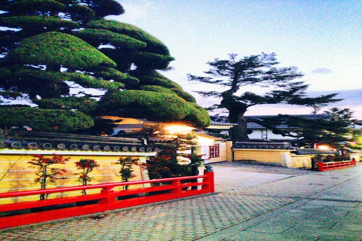 宝塚にてNPO法人理事長と対面 中山寺のロマンチックな風景と感謝