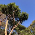 良質な睡眠を取り最高の朝を迎える